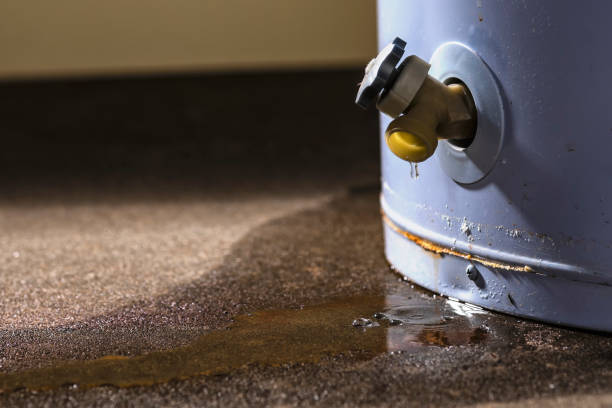 Best Water damage restoration near me  in Leesburg, FL