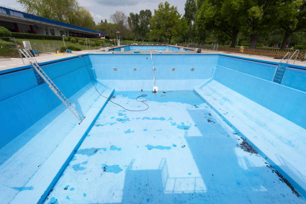 Best Professional water damage repair  in Leesburg, FL