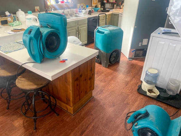 Best Sewage cleanup and water damage restoration  in Leesburg, FL