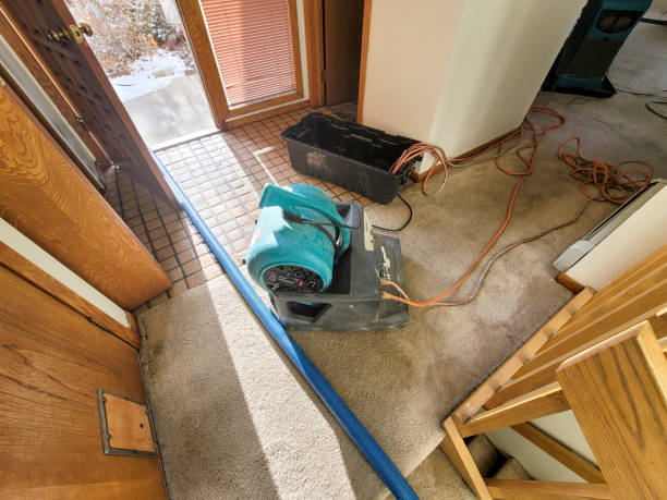 Water damage restoration process in Leesburg, FL