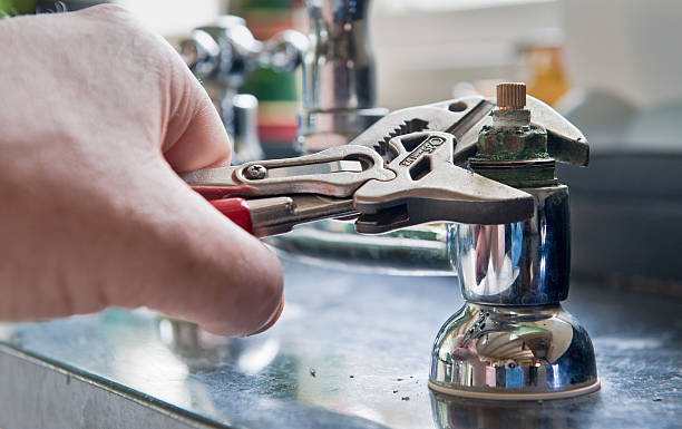 Best Mold removal after water damage  in Leesburg, FL