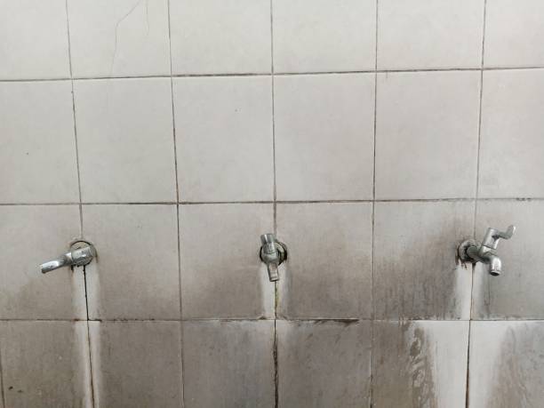 Best Water damage restoration near me  in Leesburg, FL