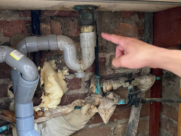 Best Carpet water damage restoration  in Leesburg, FL
