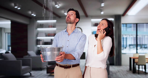 Best Water damage restoration cost  in Leesburg, FL