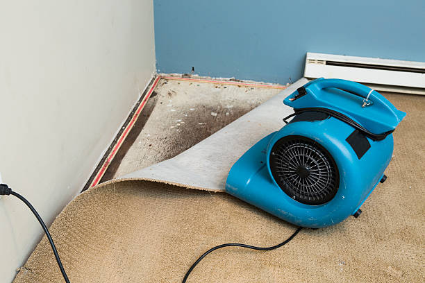 Best Fire Damage Restoration  in Leesburg, FL